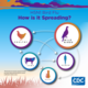 Avian Influenza (H5N1 Bird Flu)