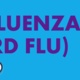 Avian Influenza (H5N1 Bird Flu)