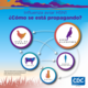 La Influenza Aviar (H5N1 Gripe Aviar)