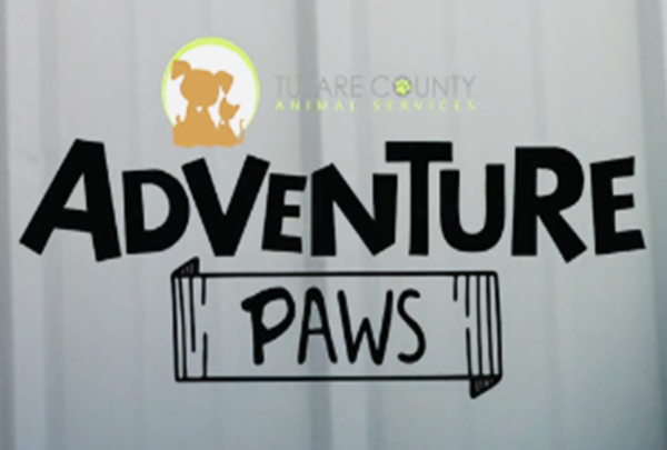 Vídeo: Servicios para Animales del Condado de Tulare Adventure Paws