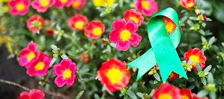 Green ribbon representing mental health awareness on flower blooms.
